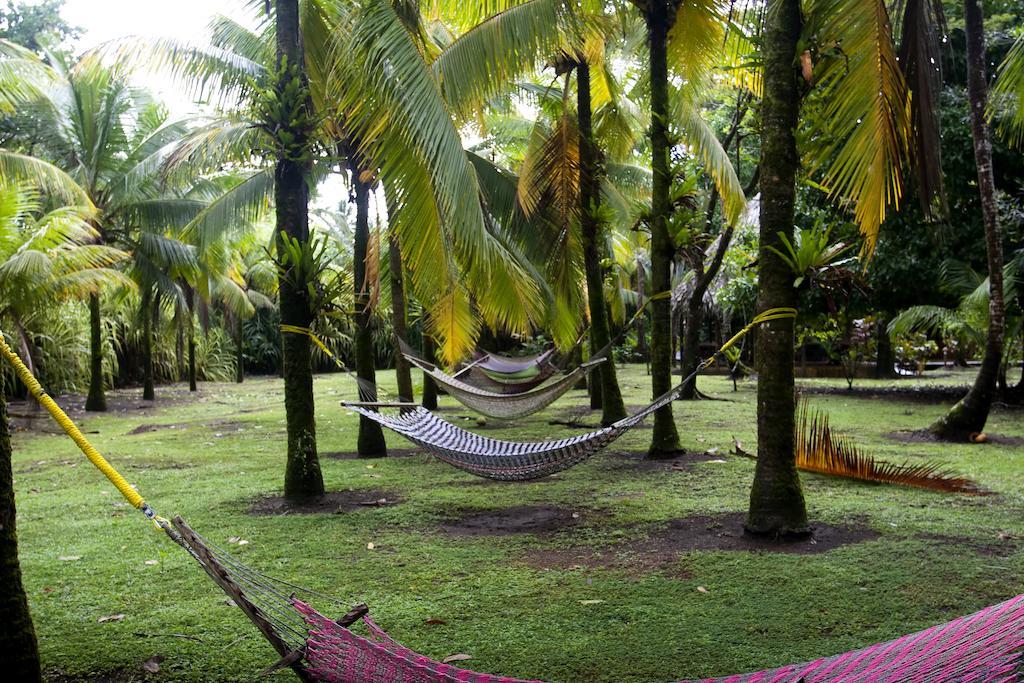 Turtle Beach Lodge ตอร์ตูเกโร ภายนอก รูปภาพ